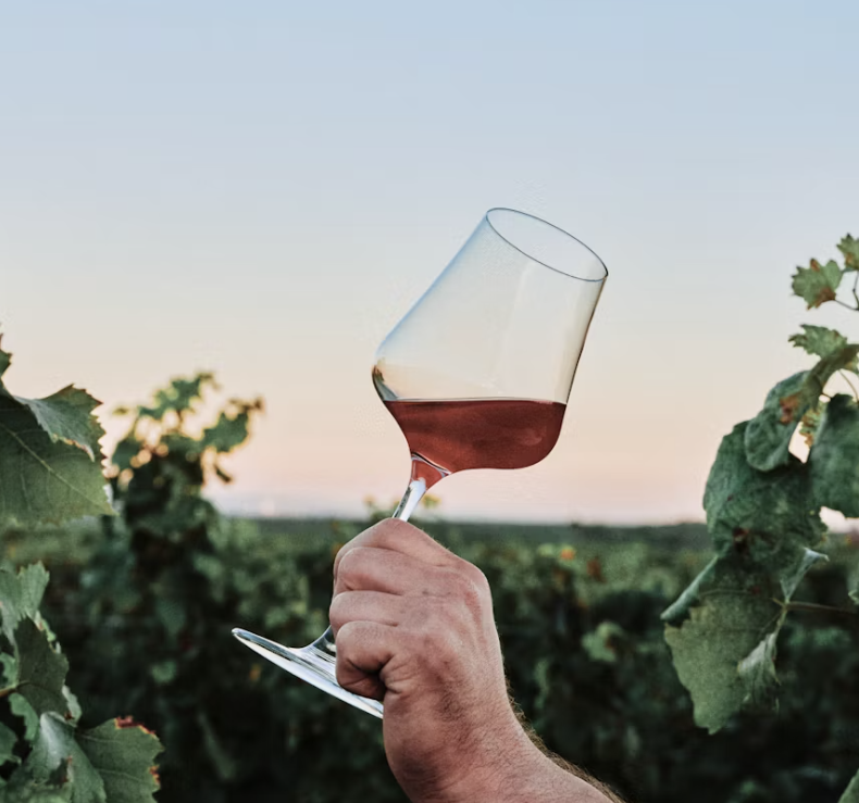 Zoom sur les cépages emblématiques de Saint-Mont