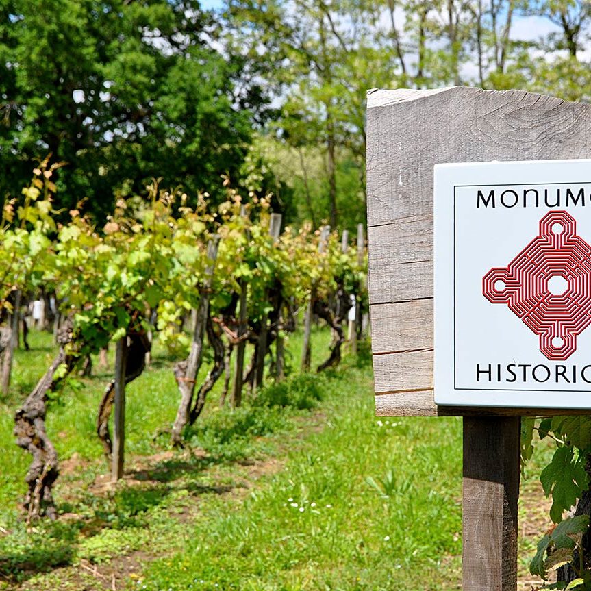 Saint-Mont-monument-historique