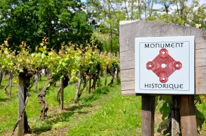 Visite – Vigne inscrite aux Monuments Historiques