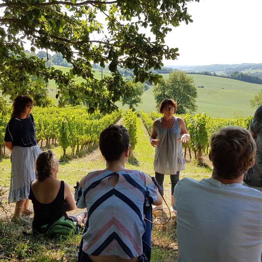 Visite guidée vignes bio