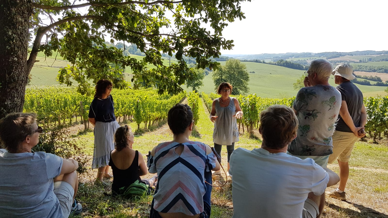 Visite guidée vignes bio