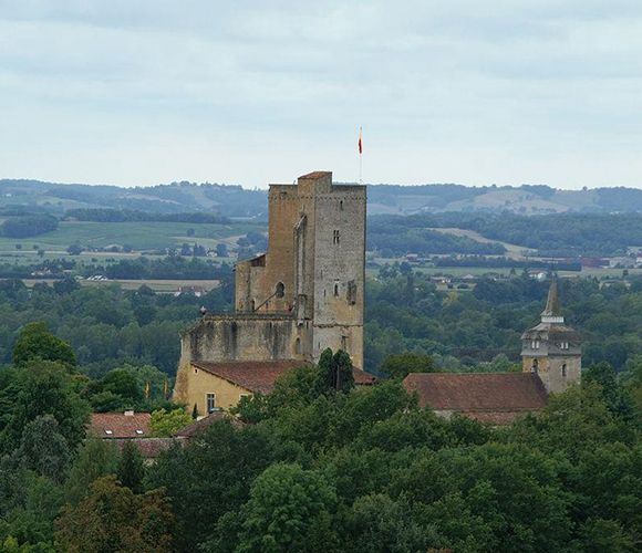 Visitez la Tour des termes, monument historique à Termes d'Armagnac dans le Gers 32