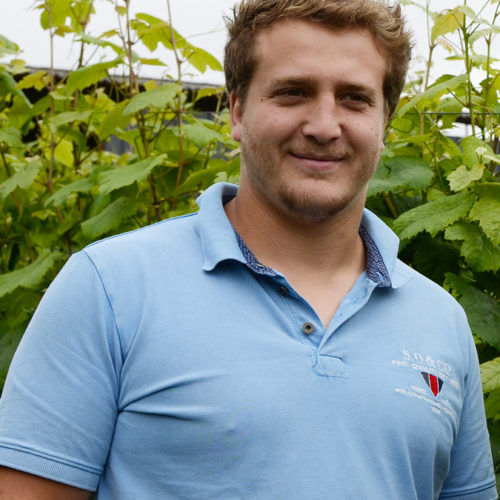 VIGNERONS_cedric