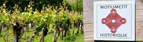 Préparer ses vacances dans le vignoble de Saint Mont